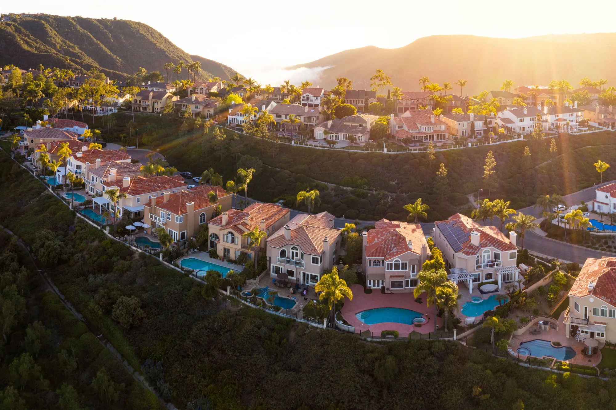 Hillside with luxury houses, pools, and palm trees